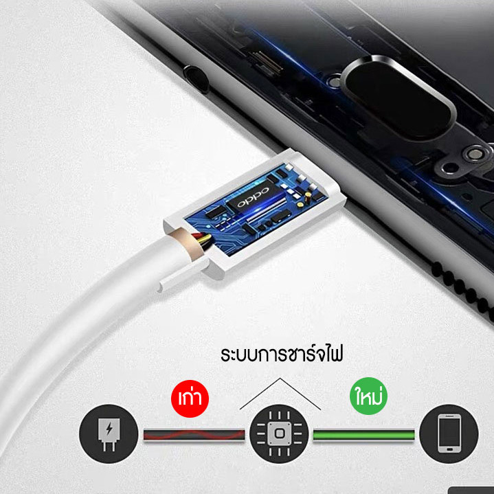 รูปภาพ 3