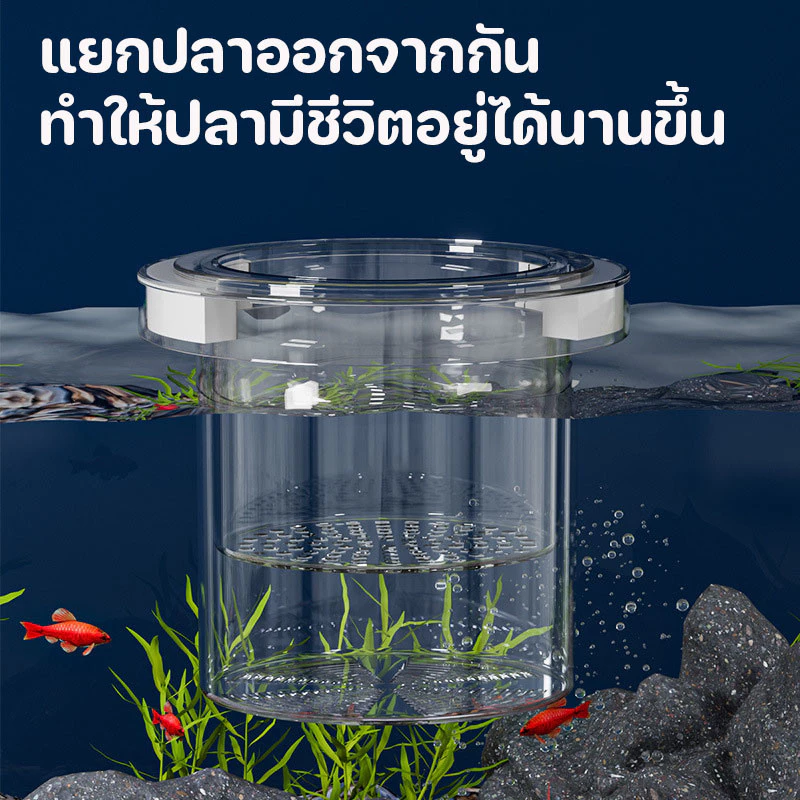 กล่องแยกปลา ตู้แยกปลาคลอดลูก กล่องแยกสำหรับถังปลา ลอยอยู่ในน้ำ ปกป้องต้นอ่อน เพิ่มอัตราการรอดชีวิตของปลา ปกป้องไข่ปลา thumbnail 5