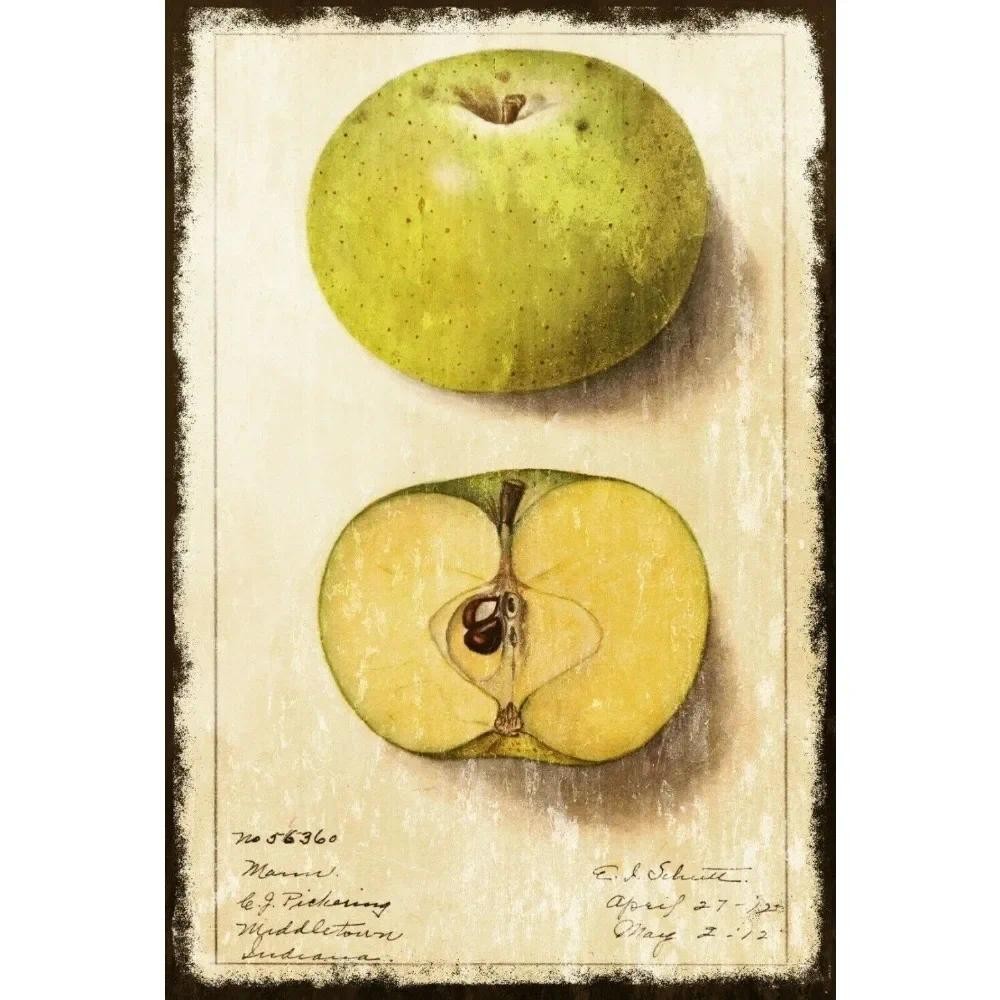 ป้ายโลหะวินเทจ 2D - CIFbuy Retro 2CV Car Art - ตกแต่งผนังโรงรถอารมณ์ขัน