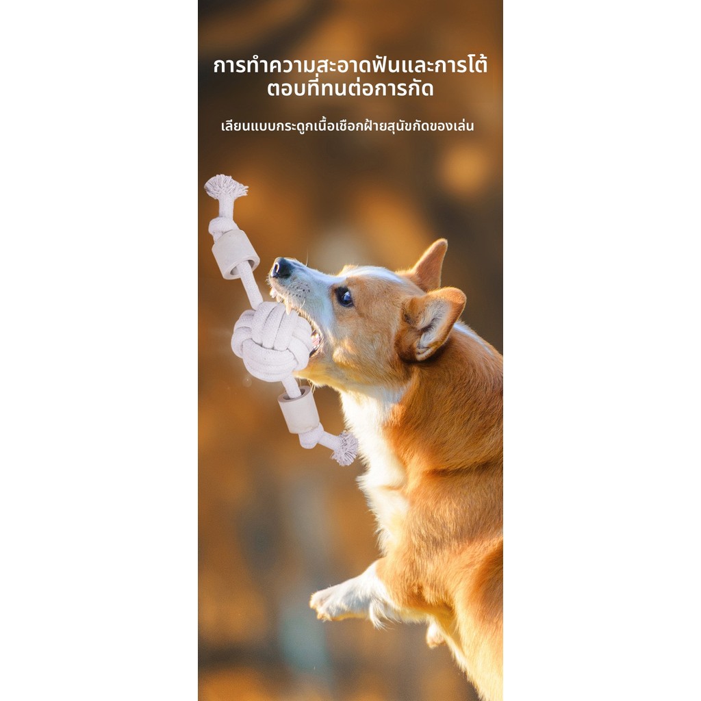 ของเล่นสุนัขถักผูกปมเชือกบอลกัดทนกรามเลียนแบบเนื้อกระดูกขนาดกลางขนาดใหญ่สุนัขเชือกฝ้ายอุปกรณ์