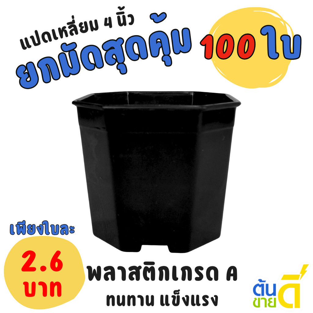 กระถาง กระถางแคคตัส กระถางแปดเหลี่ยม 4 นิ้ว สีดำ Bundle 100 ใบ ชิ้น อัน