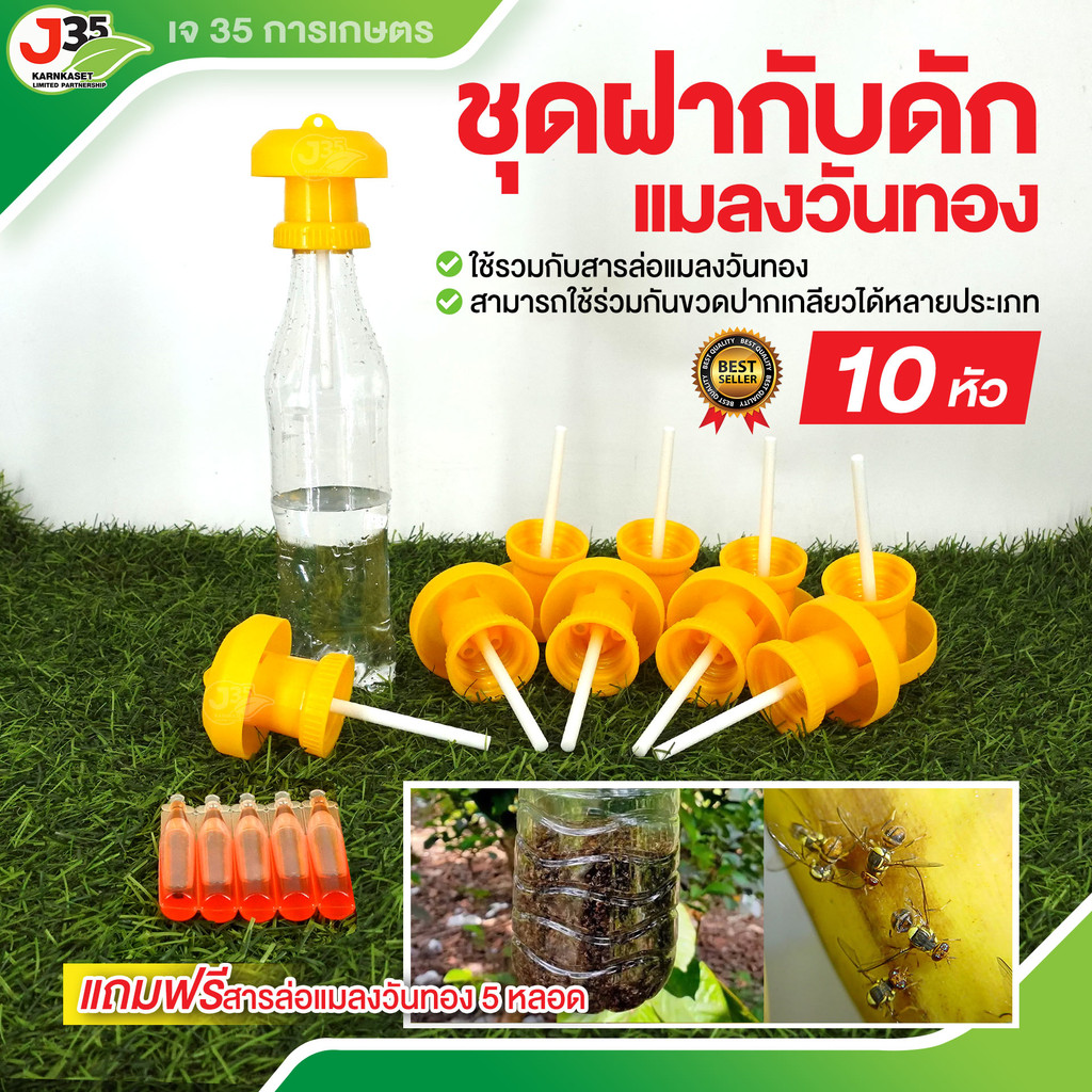 (10ชุด)ชุดฝากับดักแมลงวันทอง (แถมฟรีสารล่อแมลงวันทอง 5 หลอด) ที่ล่อแมลงวันทอง กับดักแมลงวันทอง