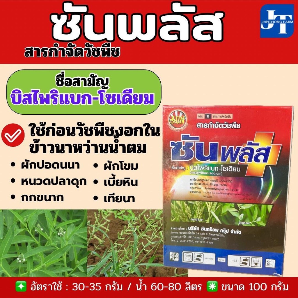 ซันพลัส ขนาด 100 กรัม สารฆ่าวัชพืชใบกว้าง(ลิเก กระดูกไก่ หญ้าแดง หญ้าปล้อง)