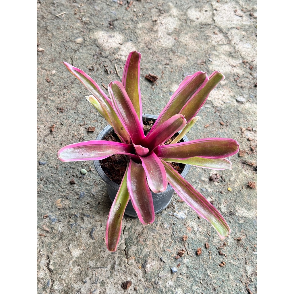 มุมมอง 2