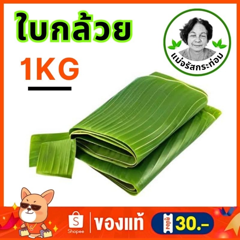 🍌🌿 ใบตองสด Fresh Banana Leaves ใบกล้วยน้ำว้า 1 กิโล จากสวนปลอดสารพิษ ใช้ห่อขนม ทำกระทง