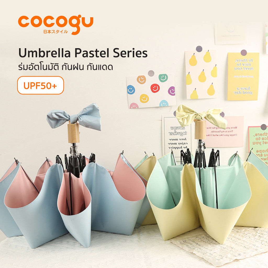 รูปภาพ 3