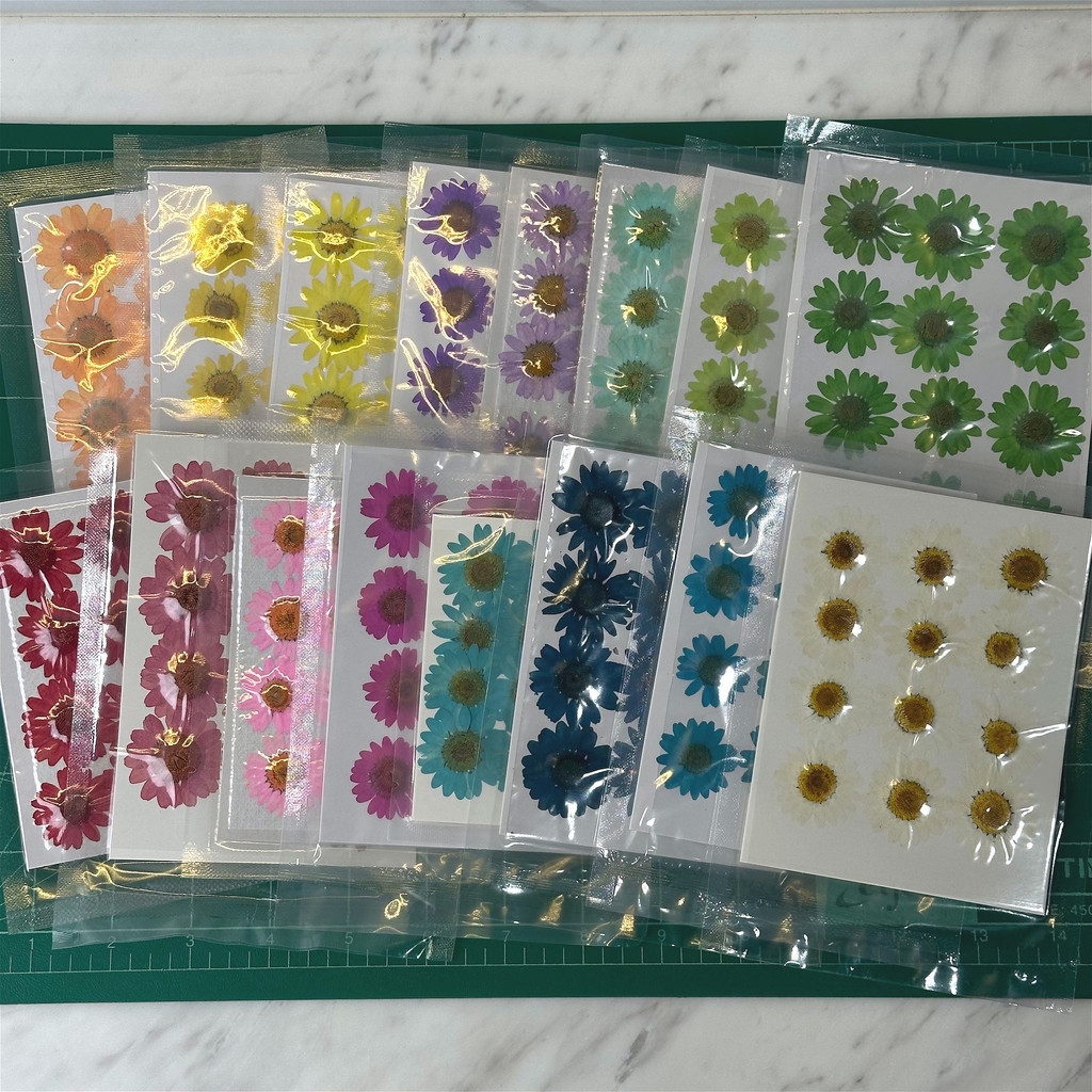 🇹🇭พร้อมส่ง | 🌼 ดอกเดซี่ ดอกไม้แห้ง Daisy สำหรับงานเรซิ่น DIY ดอกไม้จริงทับแห้ง ขนาด 2.5-3 ซม.