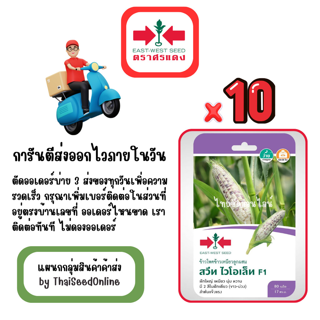GG x 10 เมล็ดผักซองศรแดง สวีทไวโอเล็ต ข้าวโพด สินค้ายกแพ็ค