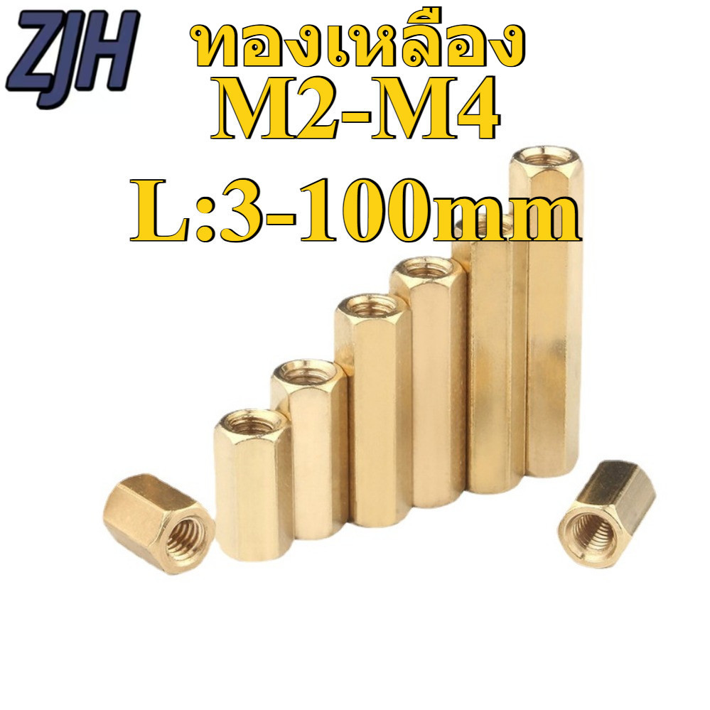 เสาเหล็กเกลียว M2 - M4 คุณภาพสูง ยาว 3 - 100 มม. เหมาะสำหรับงานประกอบอุปกรณ์อิเล็กทรอนิกส์และโครงสร้างขนาดเล็ก วัสดุทนทาน แข็งแรงมาก จัดส่งรวดเร็วจากร้านค้าของเรา (ZJH-C2)
