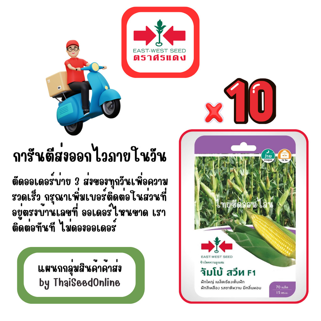 GG x 10 เมล็ดผักซองศรแดง จัมโบ้สวีท ข้าวโพด สินค้ายกแพ็ค