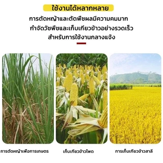 เซน เคียวเหล็กแมงกานีสแท้ มีดหวด มีดขอ มีดตัดกล้วย มีดดายหญ้า ลับคมกริบ น้ำหนักเบาสบาย สามารถต่อด้ามยาวได้ ตรงปก ส่งไว