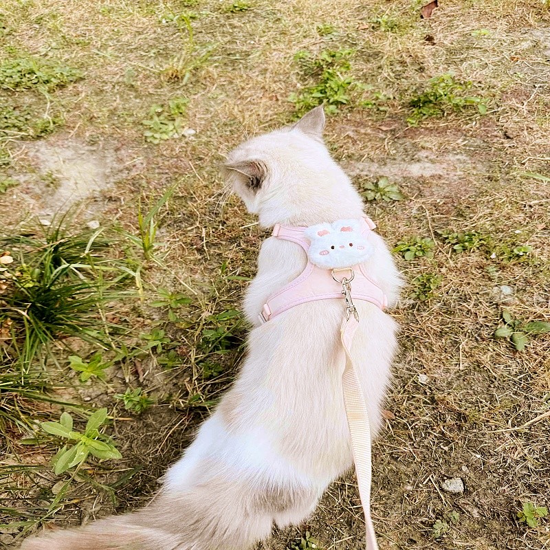 สายจูงสัตว์เลี้ยง เชือกจูงแมว เวอร์ชันอัพเกรด เชือกลาก น่ารักสุดๆ ป้องกันหลุด ปรับขนาดได้ น้ำหนักเบา ระบายอากาศดี - รูปที่ 4
