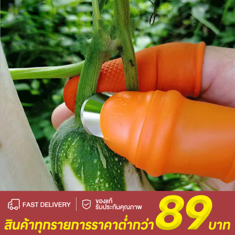 ปลอกสวมนิ้วเด็ดผัก (1 แพ็ค) [ปลอกนิ้วโป้ง 1 ชิ้น ปลอกยางนิ้วชี้ 5 ชิ้น]ใบมีดคม ใช้เด็ดผัก พริก ถั่วฝักยาว ป้องกันเล็บดำ