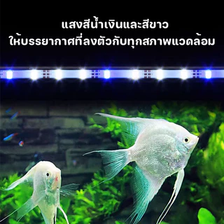 ไฟตู้ปลา สปอตไลท์ กันน้ํา USB สว่างสุด ๆ สีปลาช่วยเพิ่มแสง ไฟตู้ปลา แสงสว่าง: ไฟ LED หัวคู่