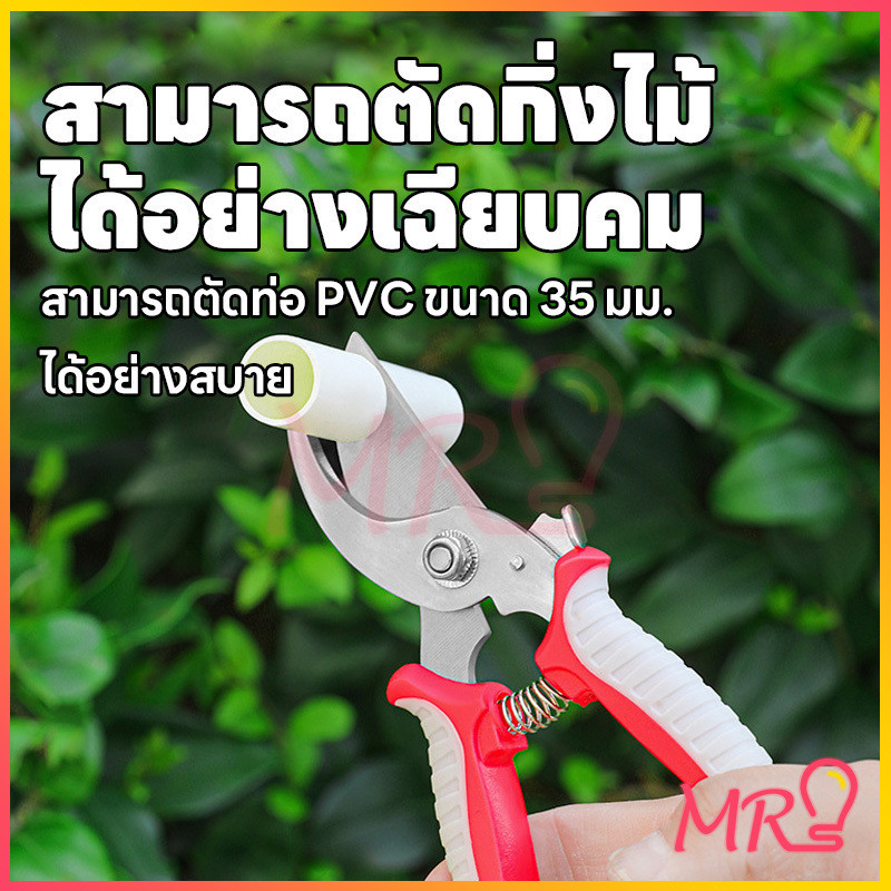 กรรไกรตัดกิ่งไม้ กรรไกรแต่งกิ่งปากโค้ง กรรไกรทำสวน มีหลายสีให้เลือก กรรไกรตัดกิ่ง แบบสเตนเลส รูปที่ 8