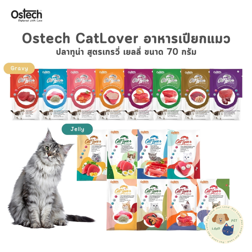 Ostech Cat Lover ออสเทค แคท เลิฟเวอร์ ปลาทูน่าในเยลลี่ เกรวี่ ขนาด 70 กรัม
