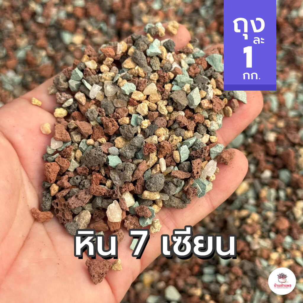 [ 1 กก. ] หิน 7 เซียน หินสีรุ้ง หินโรยหน้า ส่วนผสมดินปลูกแคคตัส&ไม้อวบน้ำ