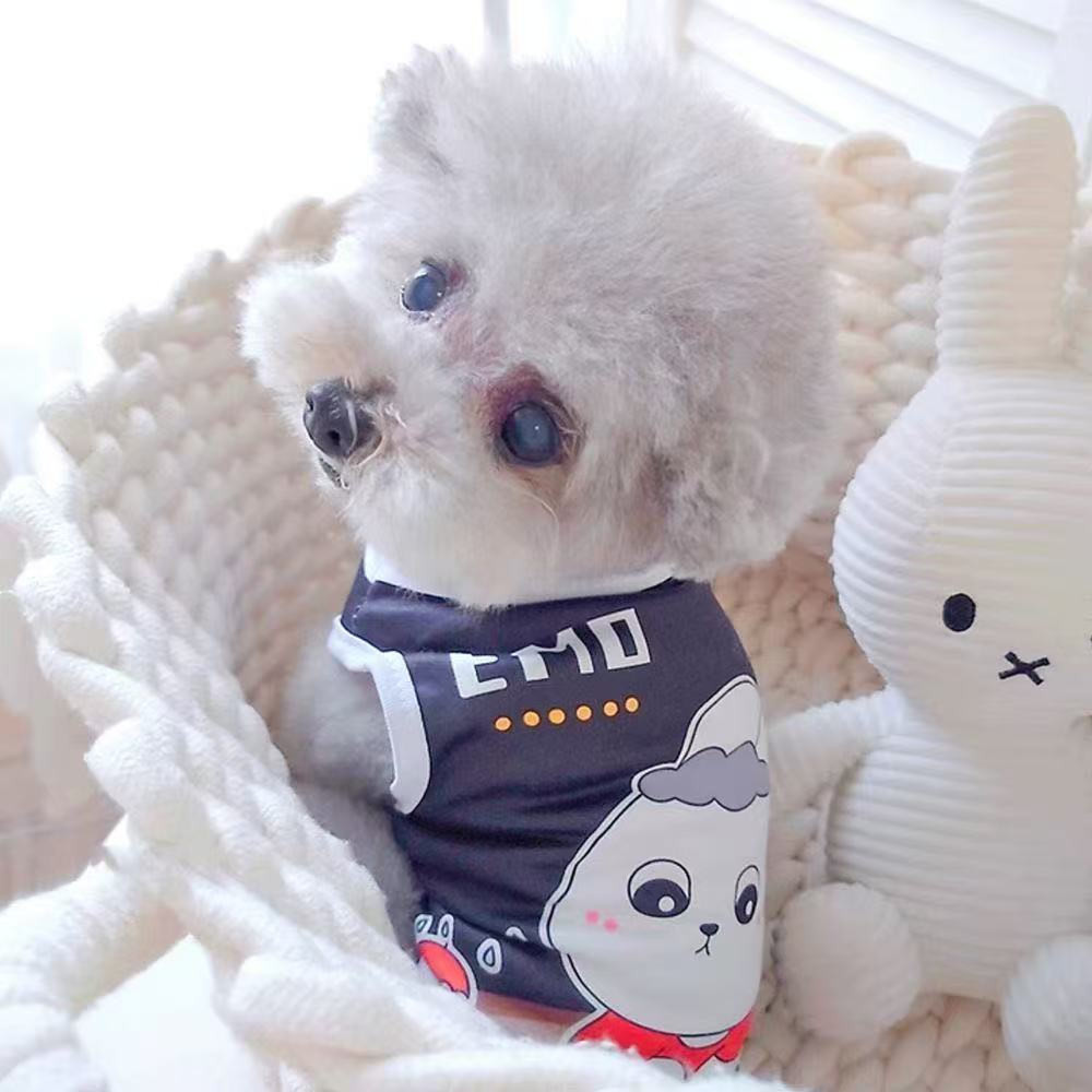 เสื้อผ้าสัตว์เลี้ยง |   เสื้อกั๊กยางยืด |   ระบายอากาศ |   ฤดูร้อน |   แมวและสุนัขบางน่ารักและสะดวกสบายสากล | - รูปที่ 4