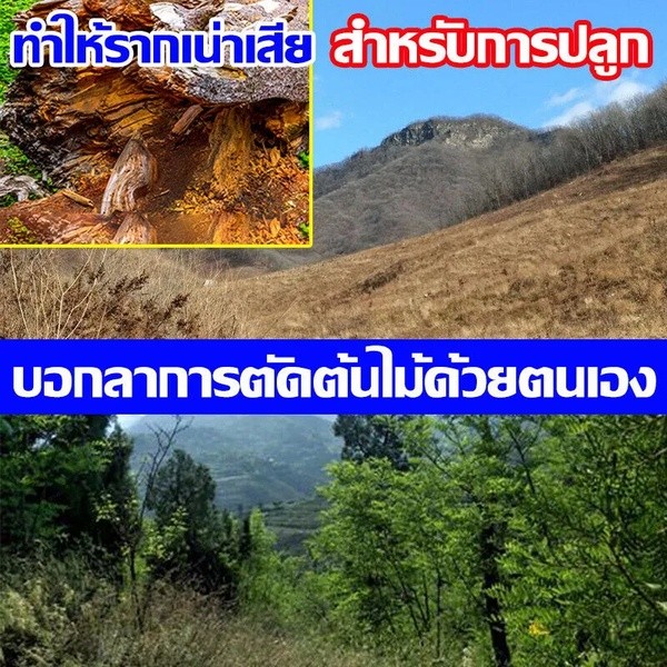 ZK สารกำจัดกอไผ่ 500g ยากำจัดต้นไม้ ยาฆ่าตอต้นไม้ ยาฆ่าต้นไม้ใหญ ผงกำจัดต้นไม้ รากเน่าเสียทันที ไม่ทำลายดิน ยาฆ่าไม้ไผ่