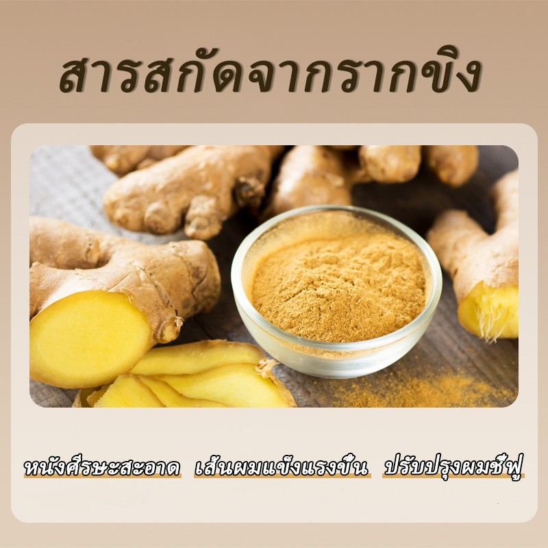 ซื้อ 1 แถม 1สินค้านำเข้าPEIMEI แชมพูแก้ผมร่วง แชมพูสมุนไพรขิงบำรุงผม 250ml แชมพูปลูกผม ยาสระผมแก้ร่วง แชมพูขิงเพียว - รูปที่ 3