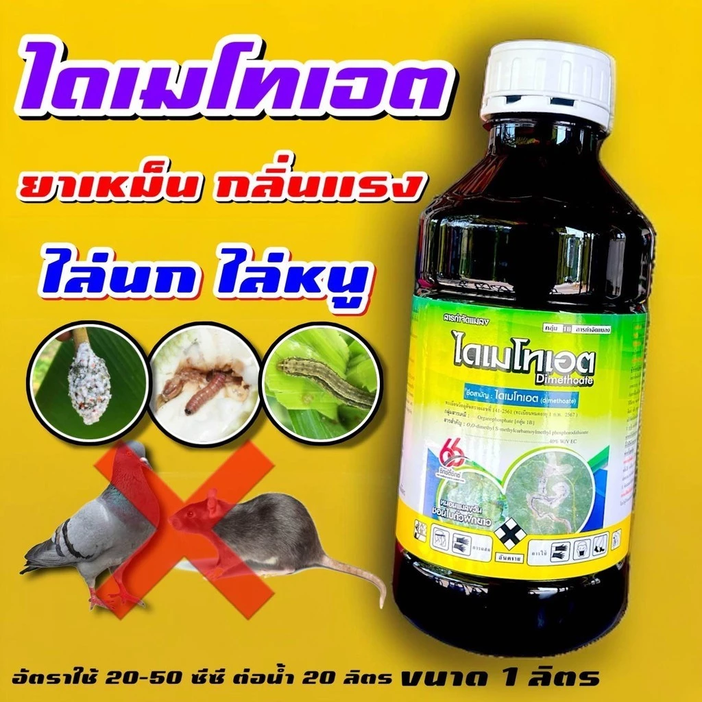 ยกลัง ไดเมโทเอต 66 1 ลิตร ยาเหม็น กลิ่นแรง น็อค ดูดซึม ไอระเหย หนอน เพลี้ย แมลงบินต่างๆ แมลงเต่าทอง ไล่ แมลงวันทอง ขนาด
