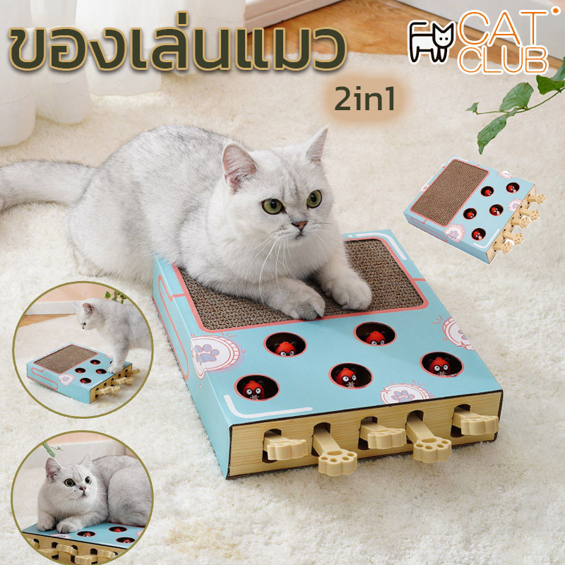 ​COD กล่องแมวตบ 2 in 1 ที่ลับเล็บแมว ​ที่ลับเล็บแมว โซฟาลับเล็บแมว ของเล่นสัตว์เลี้ยง เสริมทักษะ สร้างปฏิสัมพันธ์