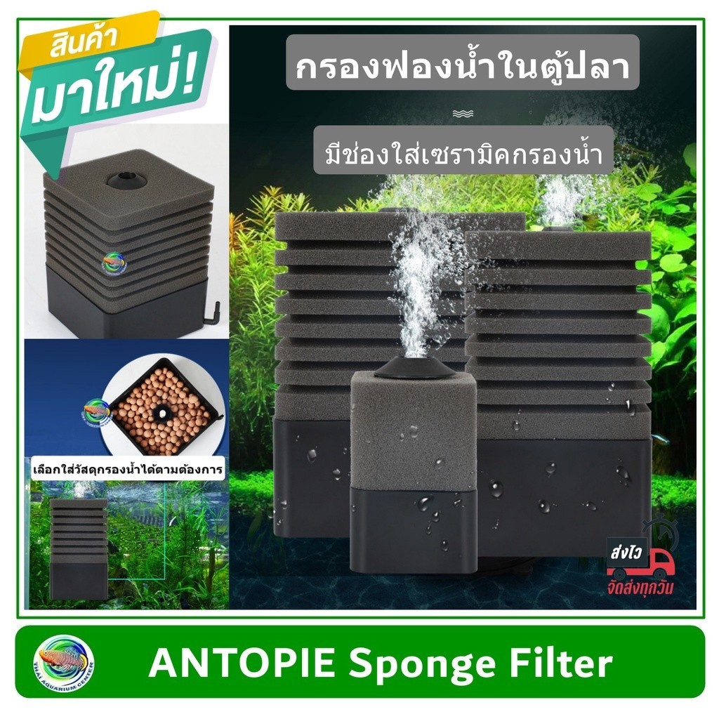 ANTOPIE Sponge Filter กรองฟองน้ำอย่างดี ฟองน้ำช่วยดูดซับสิ่งสกปรก เนื้อฟองน้ำทนทาน มีช่องใส่วัสดุกรองด้านล่าง