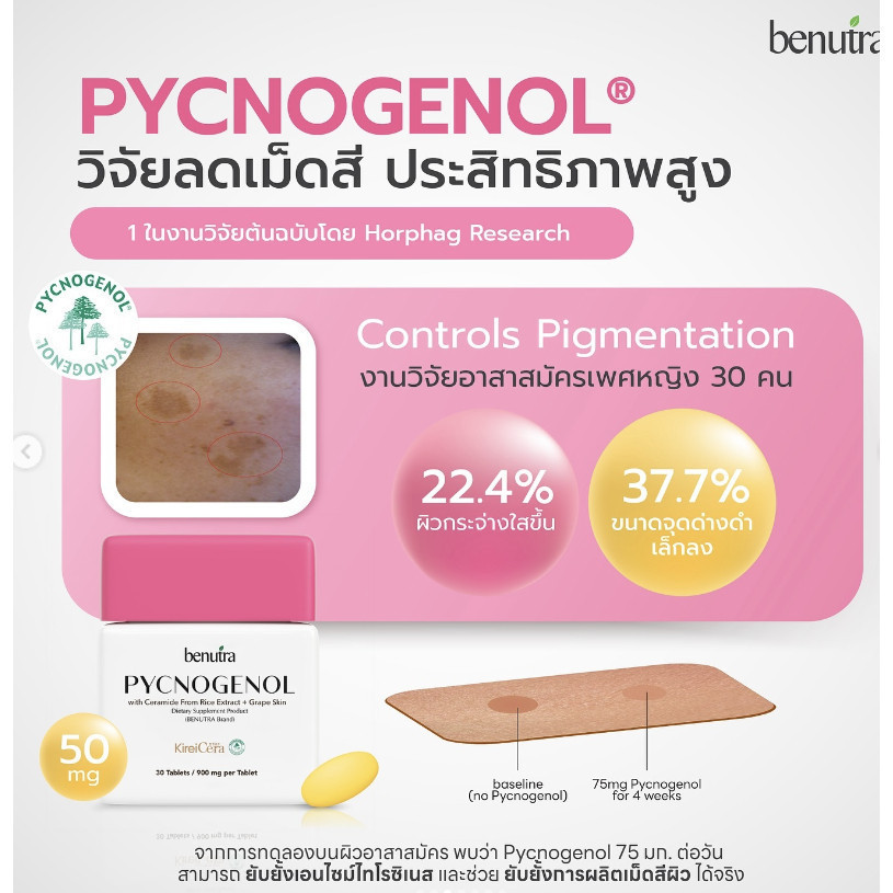 พิโนจินอล เม็ดเหลืองเลือนฝ้า PYCNOGENOL บีนูทร่า benutra ลดเลือนฝ้า กระ จุดด่างดำ 3 กระปุก - รูปที่ 3