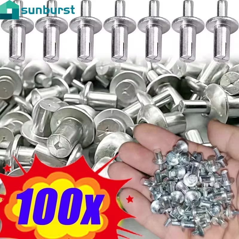 100ชิ้นอลูมิเนียมอัลลอยด์ขยาย หมุดย้ํา-สําหรับเฟอร์นิเจอร์,คอนกรีต-ค้อนไดรฟ์ขยาย หมุดย้ํา-สแตนเลสก้านสกรูคณะกรรมการผนังยึด-เล็บหัวเจาะหมุด