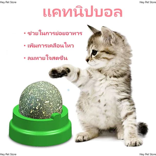 กัญชาแมว ทำให้ภายในช่องปากสดชื่น คลายเครียด อาหารสุดโปรดของแมว ลดอาการขนร่วง ของกินเล่นแมว เพื่อกระตุ้นความฟินของแมว