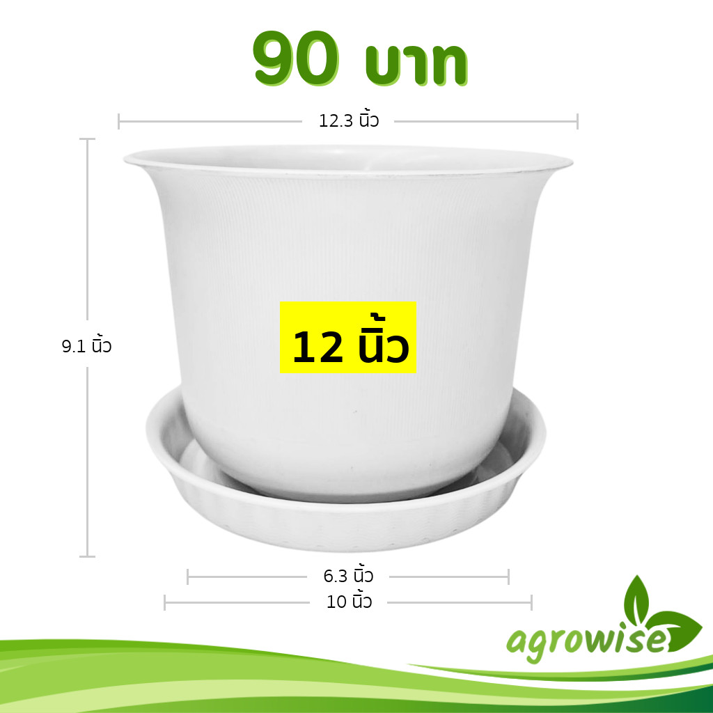 กระถาง กระถางต้นไม้ มินิมอล ถ้วยจีน+จาน ขนาด 12 นิ้ว สีขาว สีเทา สีอิฐ สีโอ๊ค สีเขียวพาสเทล Bundle 5 ใบ ชิ้น อัน