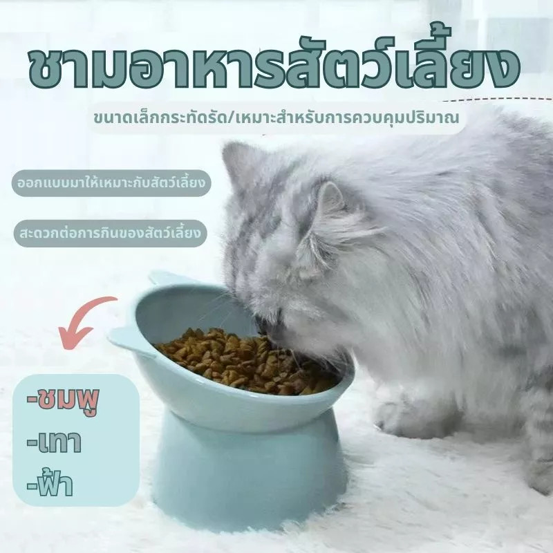 🐾ชามอาหารหน้าแมว เอียง 15 องศา ชามอาหารทรงสูง สำหรับสัตว์เลี้ยง
