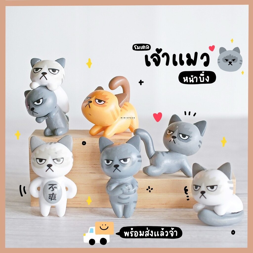 โมเดลแมวน้อยหน้าบึ้ง (ชุด 6 แบบ) MS4567 ตุ๊กตาจิ๋ว โมเดลจิ๋ว ฟิกเกอร์ แต่งสวน แต่งบ้าน งานDIY