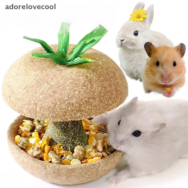 ADTH หนูแฮมสเตอร์เคี้ยวของเล่นสําหรับฟัน-หนูตะเภาเคี้ยวของเล่นสําหรับฟันอาหารเคี้ยวขนมหนูแฮมสเตอร์กรงอุปกรณ์เสริม Martijn