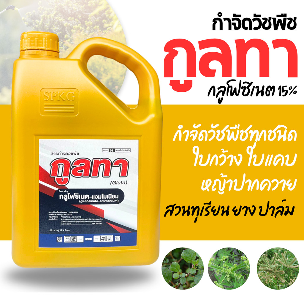 [1แกลลอน][ทองพรีเมียม] กูลทา Gluta กลูโฟซิเนต-แอมโมเนียม 15% - ขนาด 4 ลิตร -  สินค้าผลิตใหม่ ของแท้แน่นอน