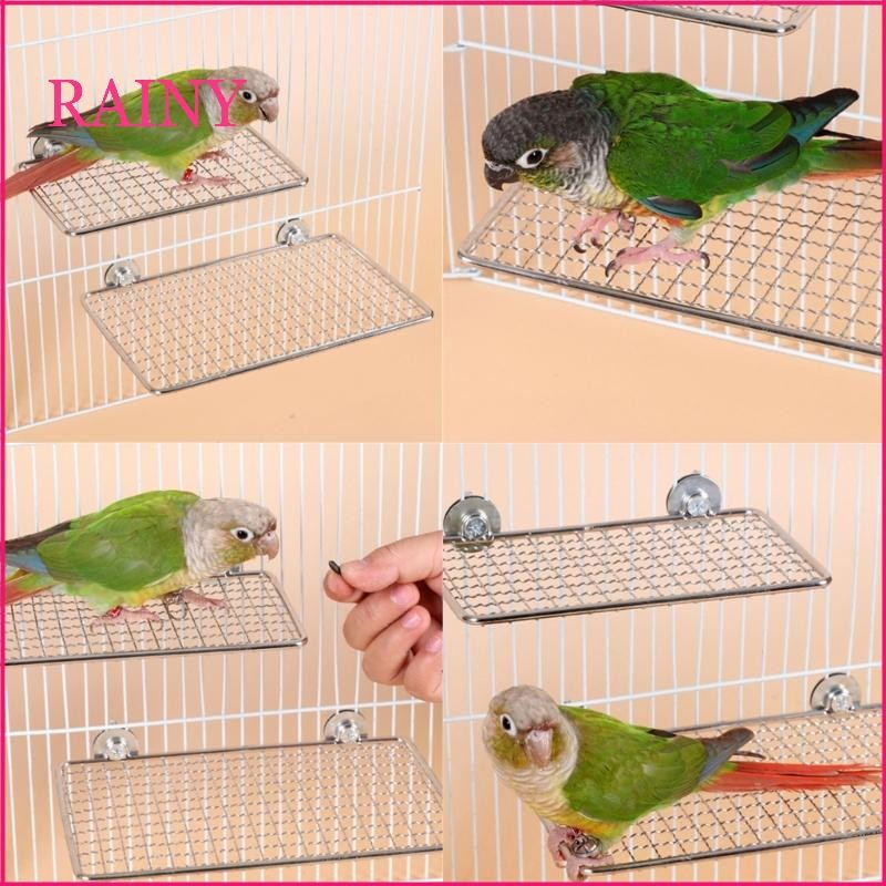 RAINY ขาตั้งชั้นวางกรงนกสี่เหลี่ยมพร้อมนกแก้วก่อสร้างสแตนเลส Perch Platform สําหรับนกขนาดเล็กถึงขนาดใหญ่