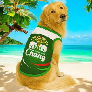 เสื้อหมาแมว ลายเบียร์สุดเท่ ใส่แล้วหล่อทุกสนามเดินเล่น