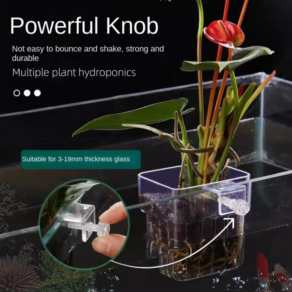 BEBETEB ที่วางต้นไม้ตู้ปลาแบบแขวน ถ้วยรองรับไฮโดรโปนิกส์ Al Fish Aquarium Water Grass Plang Cup ภูมิทัศน์ตกแต่ง - รูปที่ 3