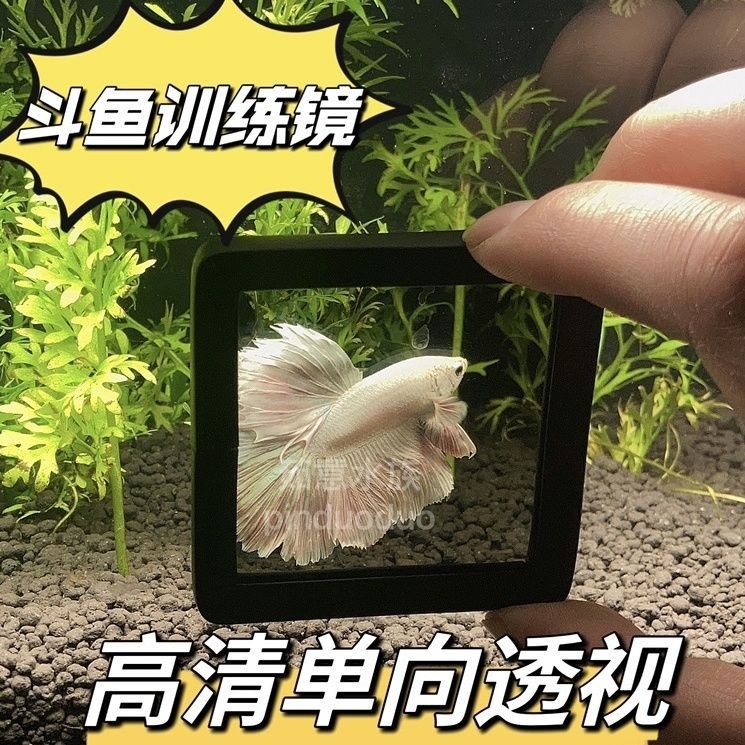 กระจกฝึกปลากัดไทยกระจกนอกถังมุมมองทางเดียวพิเศษ Luo Han Fish Lei Long Fish การจัดสวนตู้ปลาขนาดเล็ก7.20