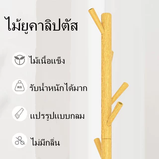 【ยืดผมในสต็อก】ไม้แขวนเสื้อยืดไม้แขวนเสื้อลงบนพื้นห้องนั่งเล่นไม้แขวนเสื้อเด็ก