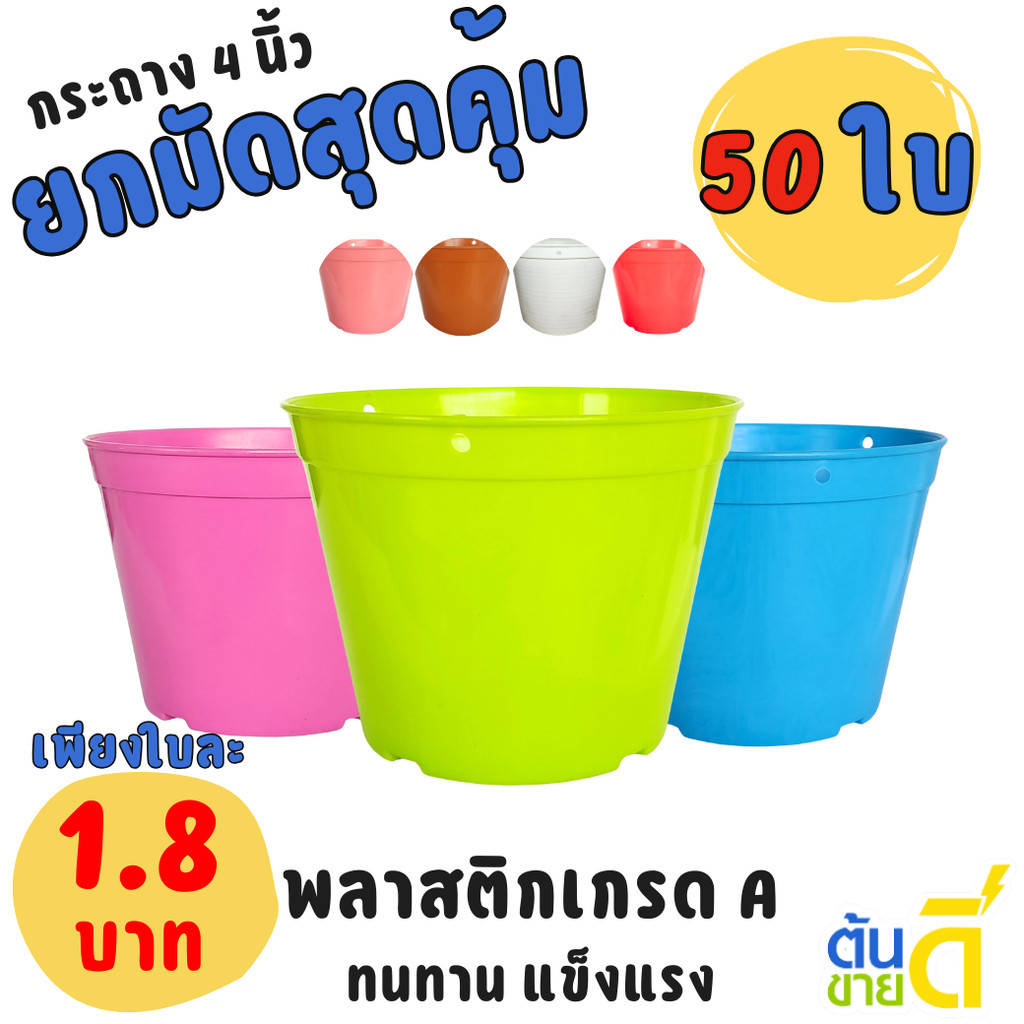 กระถาง กระถางต้นไม้ กระถางพลาสติก เบอร์ 4 นิ้ว สีเขียว สีอิฐ สีแดง สีชมพู สีฟ้า Bundle 50 ใบ