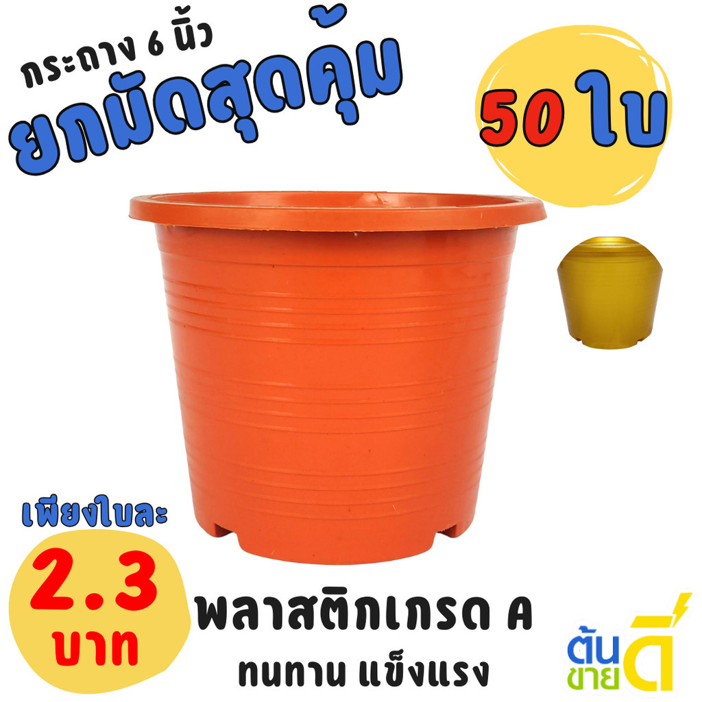กระถาง กระถางต้นไม้ กระถางพลาสติก เบอร์ 6 นิ้ว สีอิฐ สีส้มอิฐ Bundle 50 ใบ ชิ้น อัน