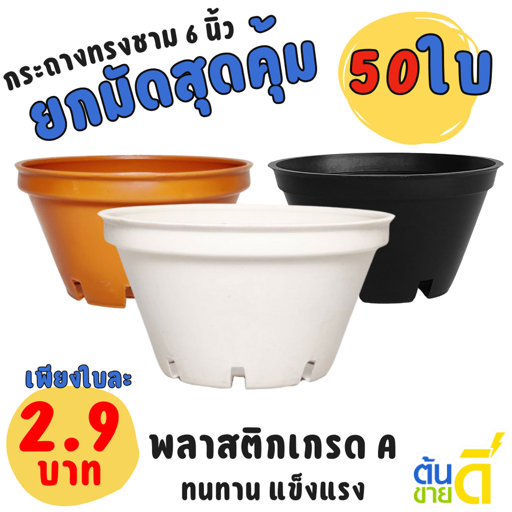 กระถาง กระถางทรงชาม ขนาด เบอร์​ 6 นิ้ว เตี้ย สีดำ Bundle 50 ใบ ชิ้น อัน