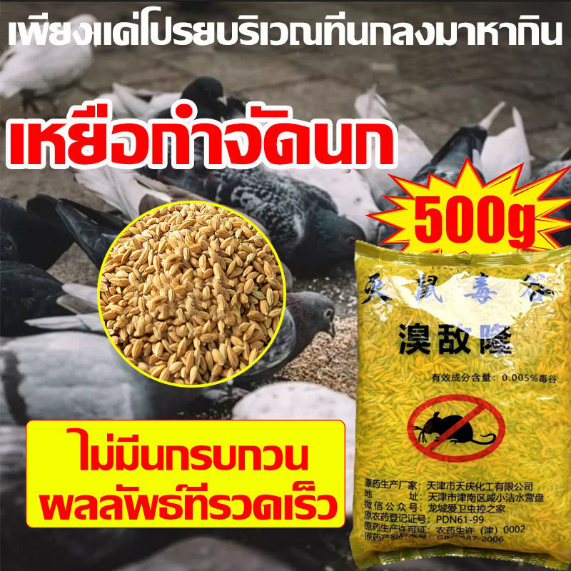 🐦1500Mไม่มีนก🐦เหยื่อกำจัดนก 500g เหยื่อกำจัดนกพิราบ ตายแห้งไม่เหม็น ยาเบื่อนก ยากำจัดนกพิราบ ยาฆ่านก ยาเบือหนู