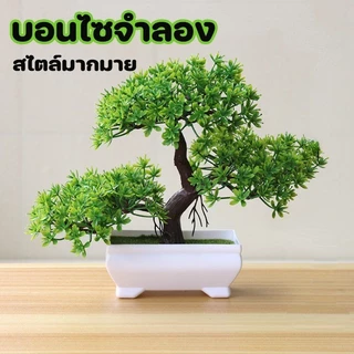 COD กระถางต้นไม้จำลอง จำลองบอนไซปลอม บอนไซจำลอง ตกแต่งบ้าน ตกแต่งโต๊ะสวน