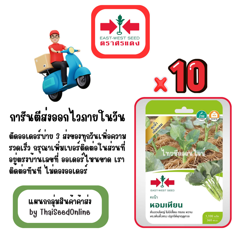 GG x 10 เมล็ดผักซองศรแดง หอมเทียน คะน้าเห็ดหอม สินค้ายกแพ็ค