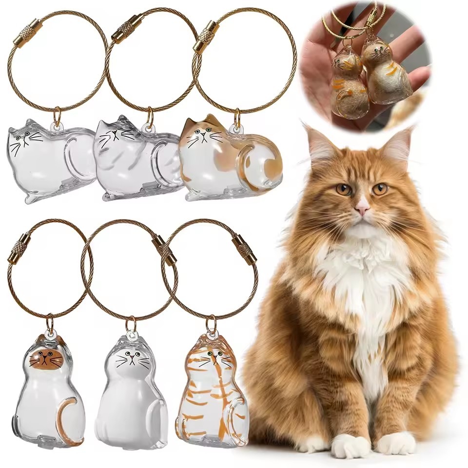 1/3/5ชิ้นใสคอนเทนเนอร์พวงกุญแจ-ครัวเรือนสัตว์เลี้ยงผมคอลเลกชันแคปซูล-ทําเอง มินิเครื่องประดับ-แมวขนเก็บจี้ของที่ระลึก
