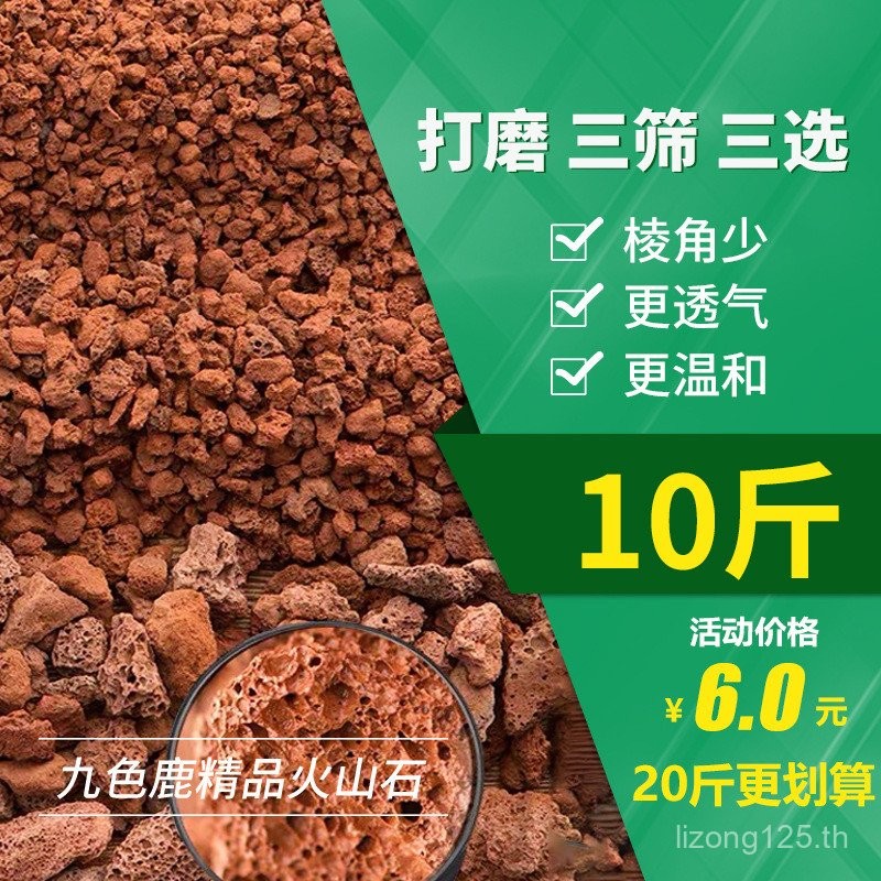 Cushioned Succulent 20 Volcanic Rock จัดส่งฟรี Volcanic Rock Orchid Nutritious Soil Catties ผสมดินอน