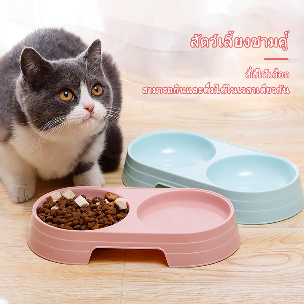 ชามอาหารแมว ชามข้าวแมว ชามข้าวหมา ชามอาหารสัตว์เลี้ยง สัตว์เลี้ยง ชาม2ช่อง มีสี่สีแคนดี้
