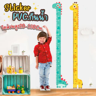 สติ๊กเกอร์วัดส่วนสูงเด็ก PVC 180ซม.กันน้ำ มีกาวในตัว แบบติดผนัง